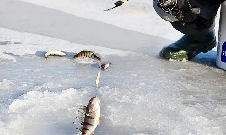 Lakeside Ice Fishing Experience