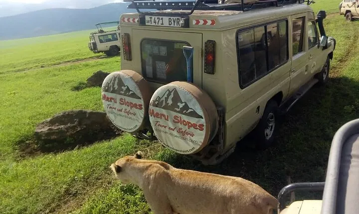 3 Days Serengeti and Ngorongoro Crater Tanzania Luxury lodge Safari