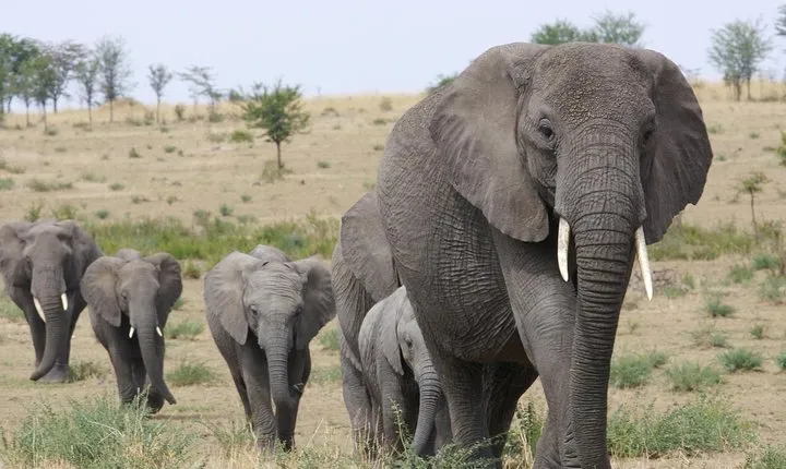 3 Days Tanzania Short and Spicy