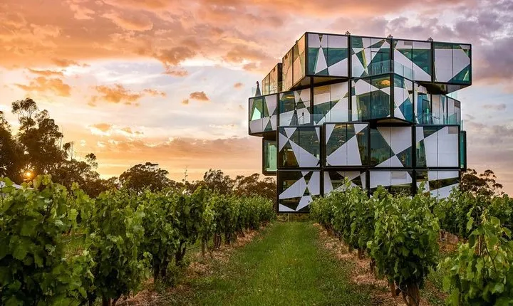 d'Arenberg Cube / McLaren Vale Regional Tour