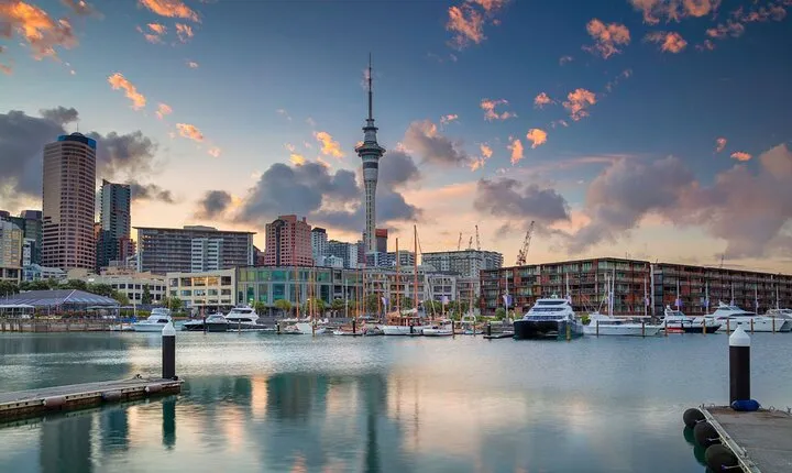 Full-day Auckland City & Rainforest Private Tour by Car