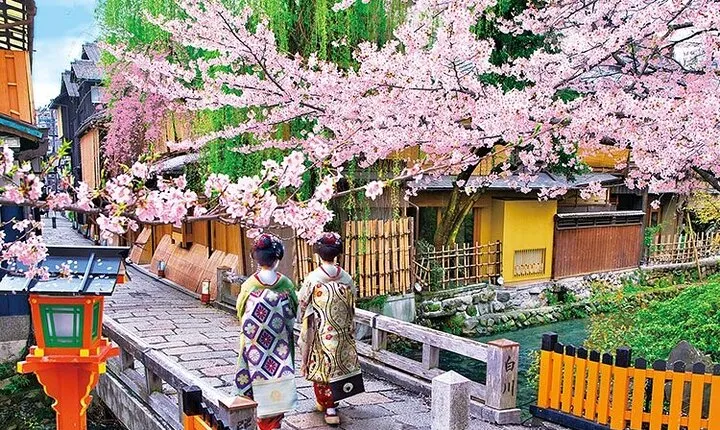 Geisha Streets & "Real Kyoto" Magical Night (w/Kyoto Snack)