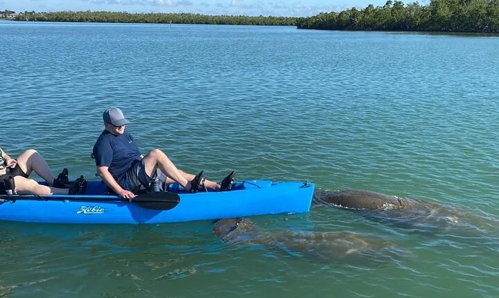 Kayak Tour Adventure Marco Island and Naples Florida