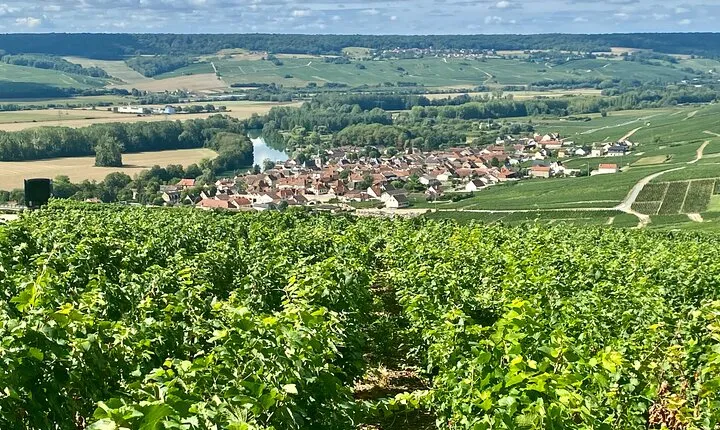 Moet et Chandon Pommery Pressoria Champagne Private trip