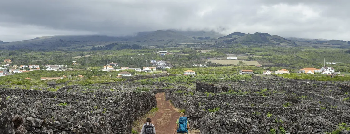 Hiking Tour to the Vinhas da Criação Velha Trail from Madalena