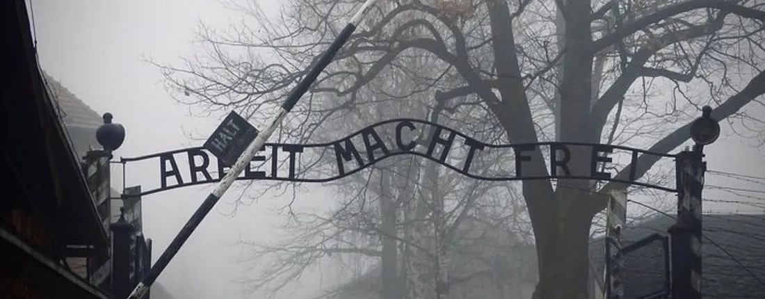 Auschwitz and Birkenau self-guided tour with transfer from Krakow
