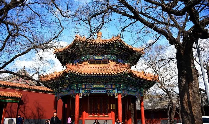Special Offer: Lama Temple with Best Tour Guide