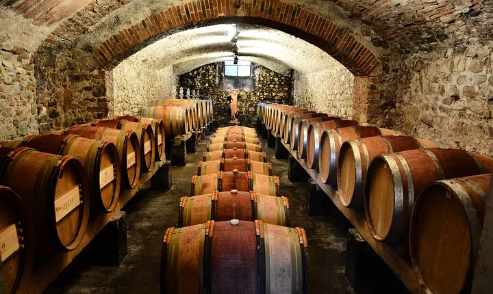 Exclusive Chianti Classico Day Trip from Florence