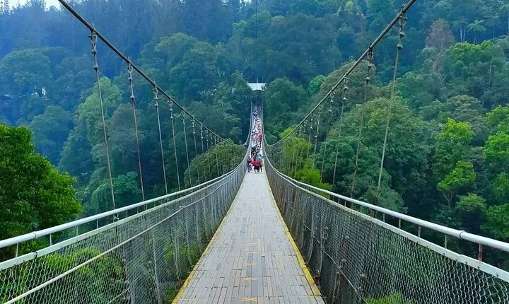 Private Day Tour the Beauty of Situ Gunung (From Jakarta)