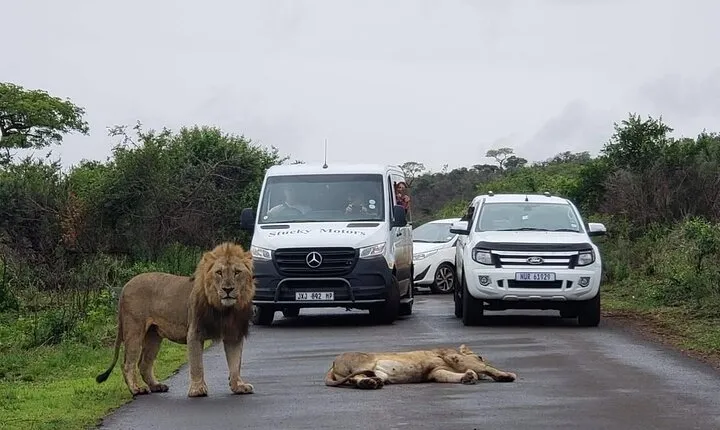 Hluhluwe Imfolozi Park And Isimangaliso Wetlands Park .st Lucia