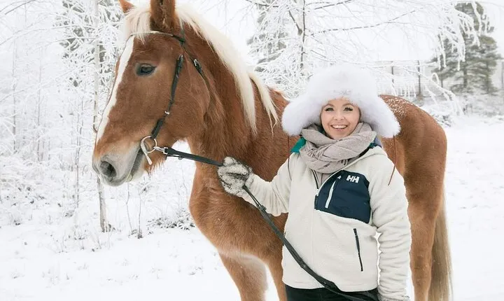 Tour to Aurora Horses Farm with Charming Finnhorses