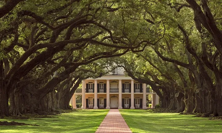 Oak Alley Plantation Half-Day Tour from New Orleans