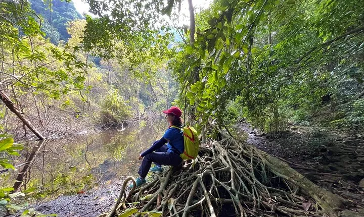 Full-Day Trekking Cat Ba National Park Adventure from Cat Ba Town