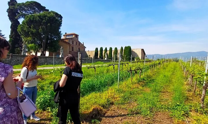 Brescia & Franciacorta winery tour from Milan. Small group Tour