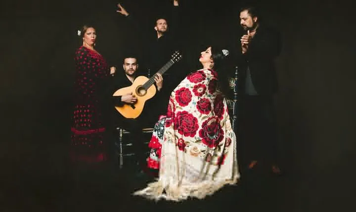 Traditional Flamenco Show at Tablao Casa Ana