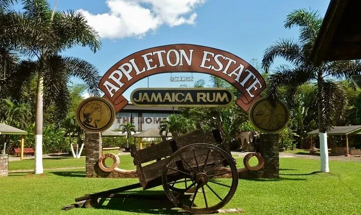 Appleton Rum Estate & YS Falls Combo Tour