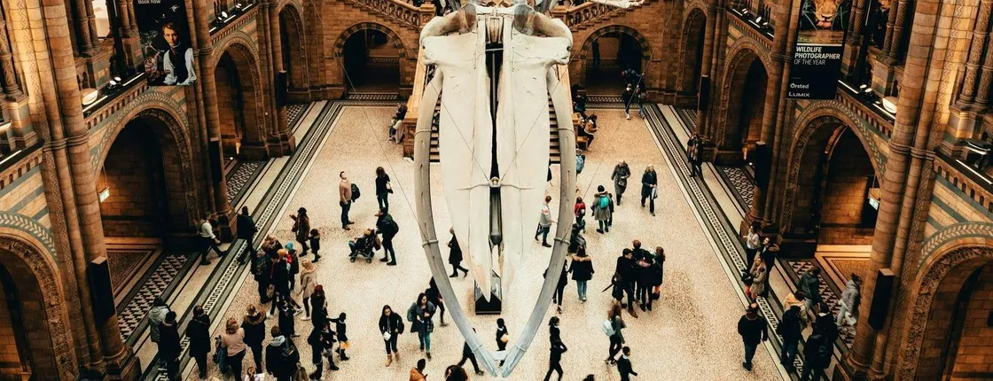 London Natural History Museum With Russian In-App Audio Tour