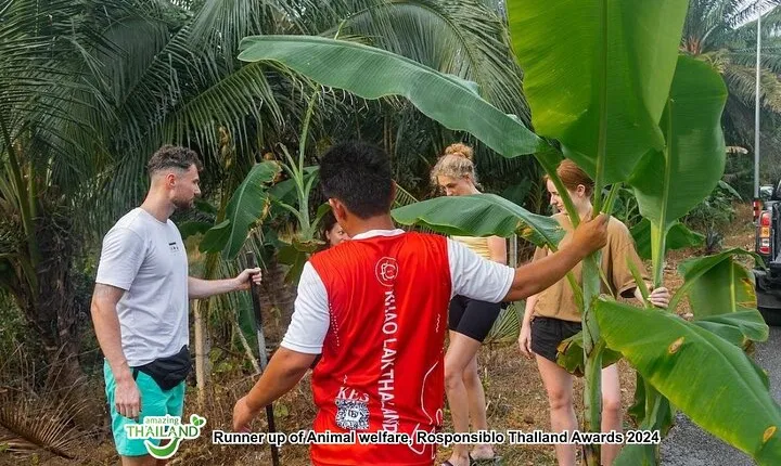Khao Lak Elephant Sanctuary Full Day Small Group Tour