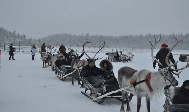 Group tour in Lapland