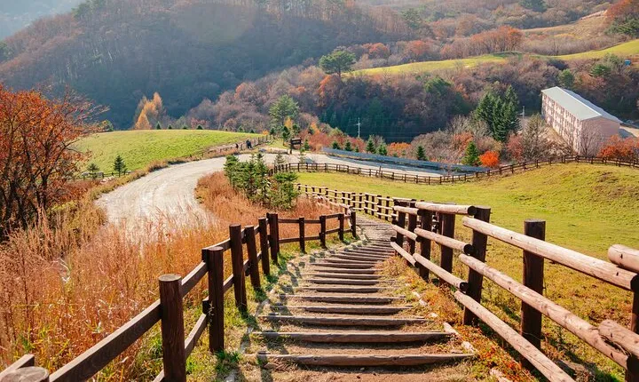 Must visit K-POP tour