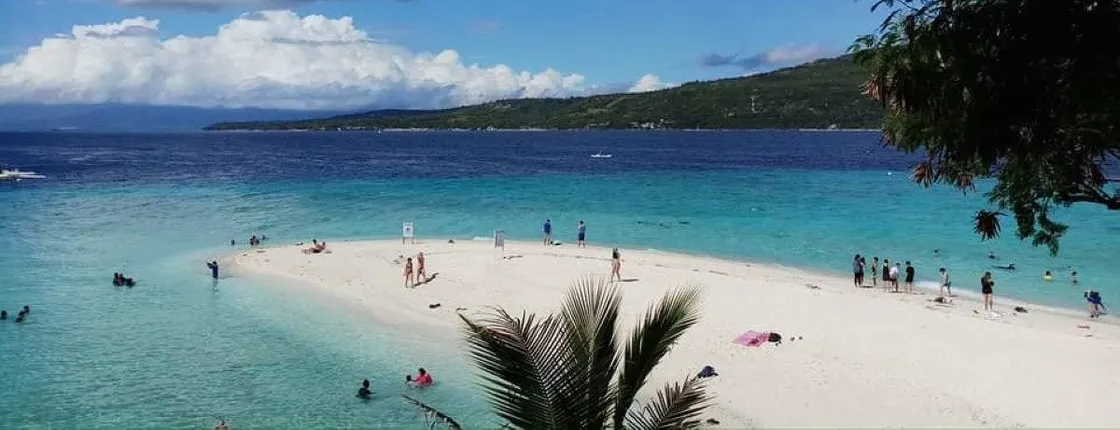 Full-day Oslob whale shark and Sumilon sandbar