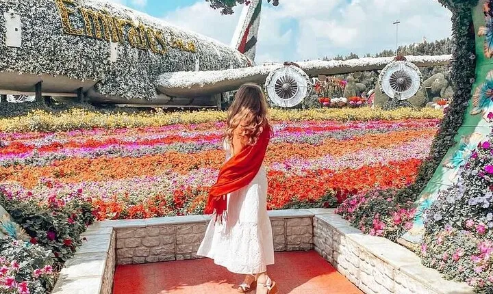 Dubai Miracle Garden Skip the Line E-Ticket and Transport Options