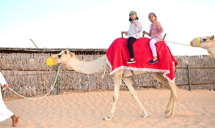 Morning Camel Trekking Over the Red Sand Dunes