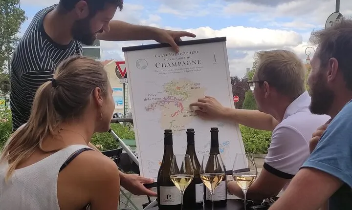 Tasting and discovery of the 3 Champagne grape varieties