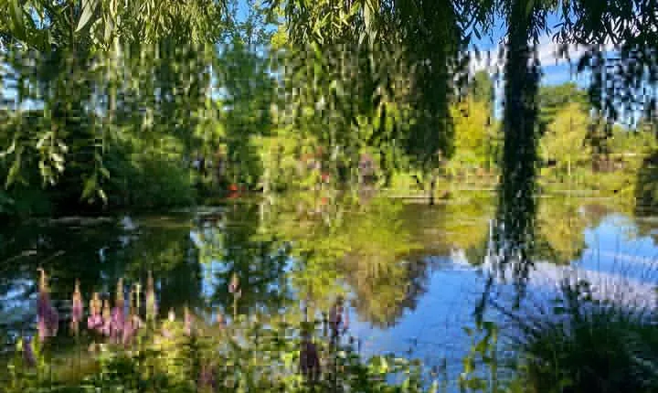 Giverny Half-day Small-group max. 7 people Trip from Paris