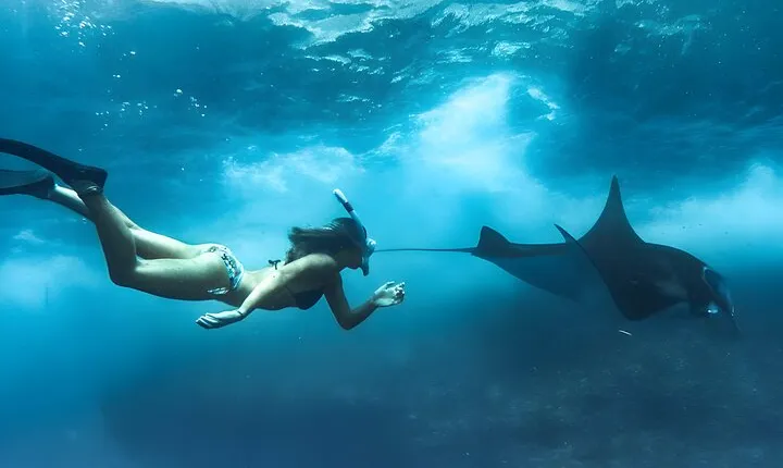 Snorkeling In Nusa Penida Island With Manta Ray From Bali