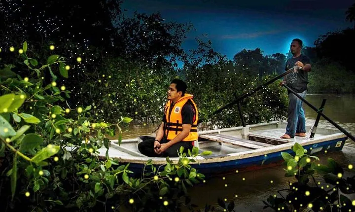 Private Kuala Lumpur Fairy Firefly And Monkey Hill Tour