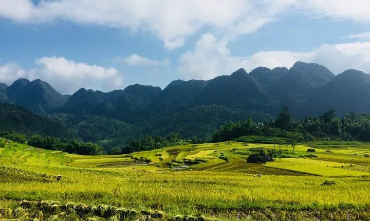 Ninh Binh Pu Luong Reserve 3 Days / 2Nights From Ninh Binh or Ha Noi !