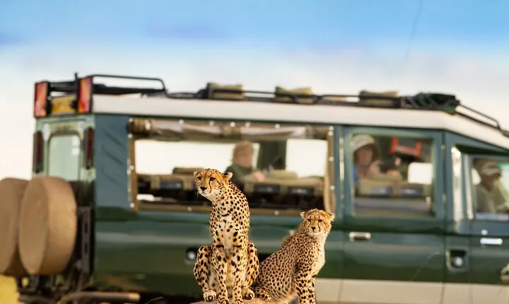 3-Day fly in Private Safari in Serengeti and Ngorongoro