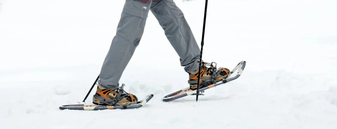 Private Tromsø snowshoeing tour with a TeslaX car ride