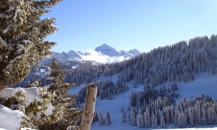 Exotic Manali Package