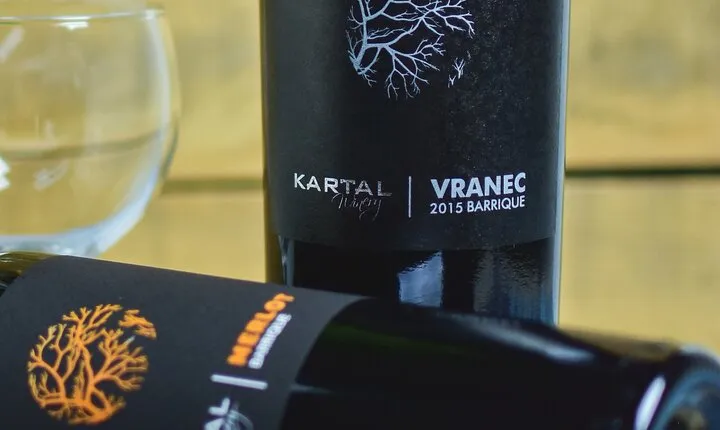 Premium Oak Aged Wines Tasting Tour in Family Winery Kartal in Skopje 
