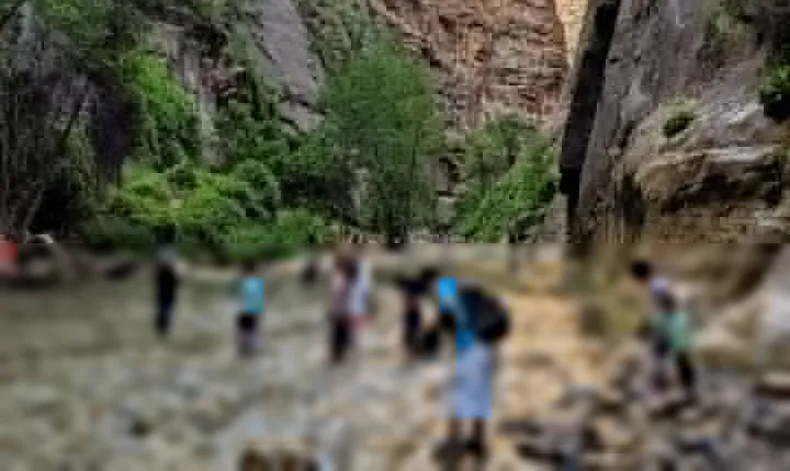 Zion National Park Small Group Tour from Las Vegas