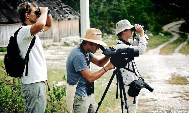 Birdwatching in Sian Ka´an Muyil from Tulum