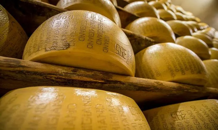 Parmigiano Reggiano Cheese Factory Tour & Tasting Experience