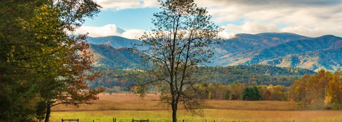 Cades Cove Self-Guided Driving Audio Tour