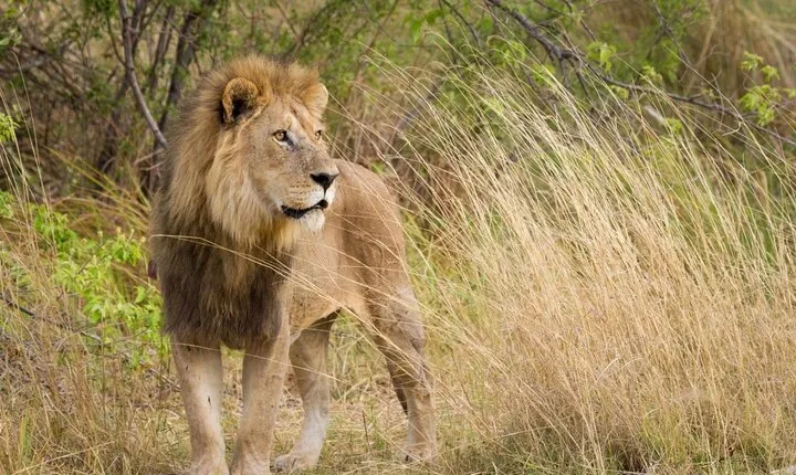 3 Day Private Garden Route Tour from Cape Town