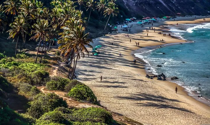 Sun and Fun at Pipa Beach: Day Tour from Natal