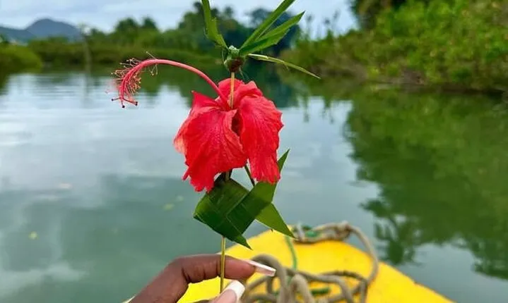 Saint Lucia Treasures - (Chocolates Rum and Rafting)