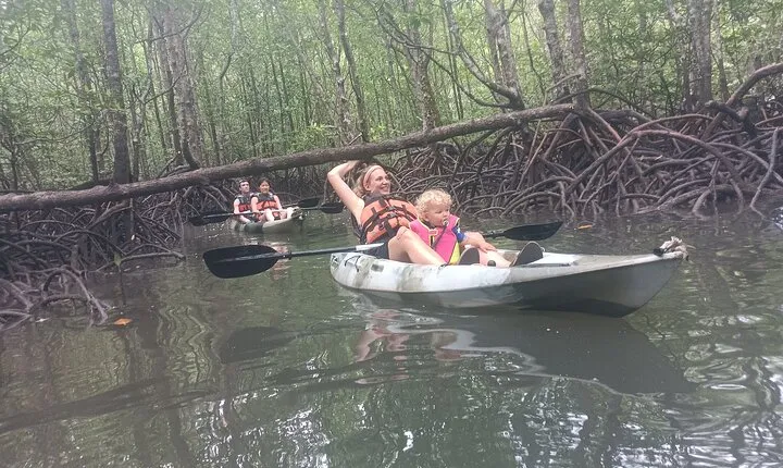 Half-day 4 Hours Kilim Mangrove Kayaking (Without hotel pickups)