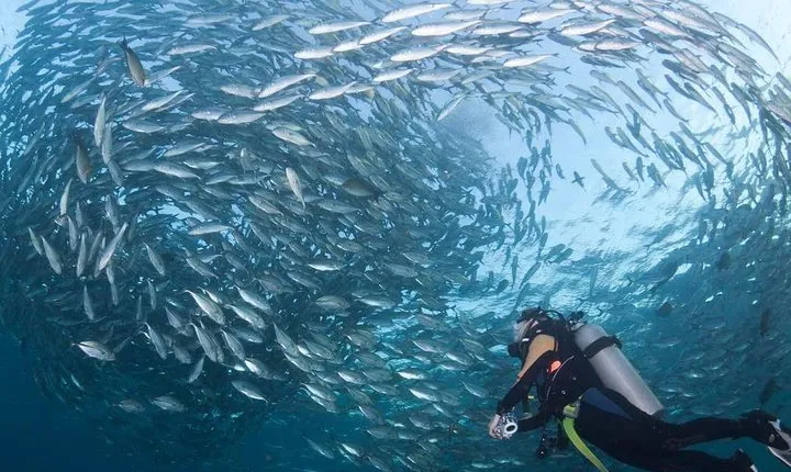 Tulamben Diving Tour Shipwreck USS Bali