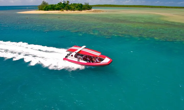 2 1/4 hr Low Isles Reef Sprinter Snorkelling Tour