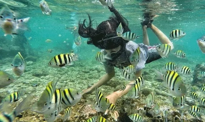 Bali Snorkeling at Blue Lagoon & Tanjung Jepun Beach: All-Inclusive