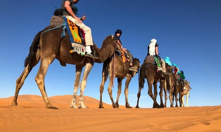 7-days: Casablanca to Chefchaouen then Fes and Sahara Desert - Camel Trekking