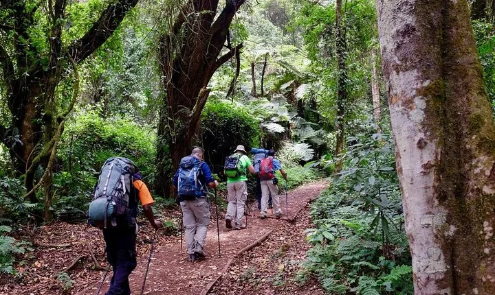 7 Days Mount kilimanjaro Hiking- Marangu Route