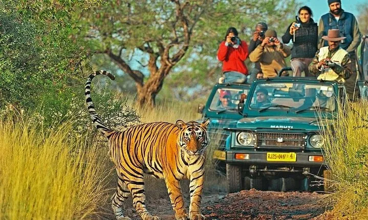 Private 4-Day Golden Triangle Tour with Ranthambore Tiger Safari